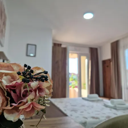 Nataly M2 Veliko Gradište