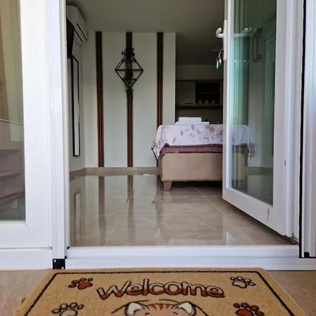 Nataly M2 Veliko Gradište